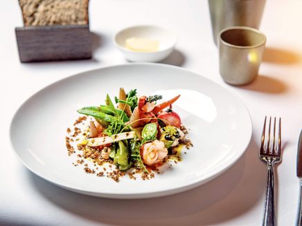 Koblenz, Schiller´s Manufaktur © Hotel Stein – Schiller‘s Manufaktur Ansicht auf ein hochwertig angerichtetes Gericht im Schiller´s Manufaktur.