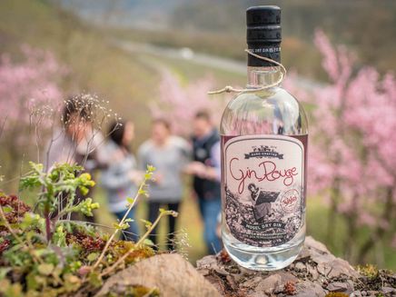 Gin Rouge von Wajos Ansicht auf eine Flasche Ging Rouge von Wajos.