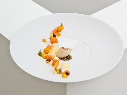 Trier, gegrillte Jakobsmuschel im Becker´s Restaurant © Becker´s Trier Ansicht auf gegrillte Jakobsmuschel im Becker´s Restaurant.