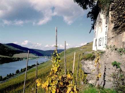 Wehlen, Sonnenuhr © Christopher Arnoldi Ansicht auf die Sonnenuhr Wehlen in den Weinbergen und auf die Mosel.